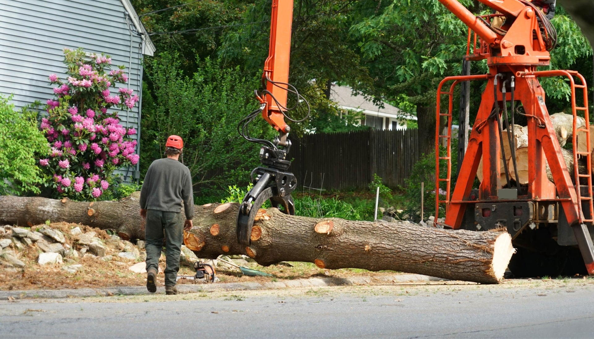 Local partner for Tree removal services in Dallas