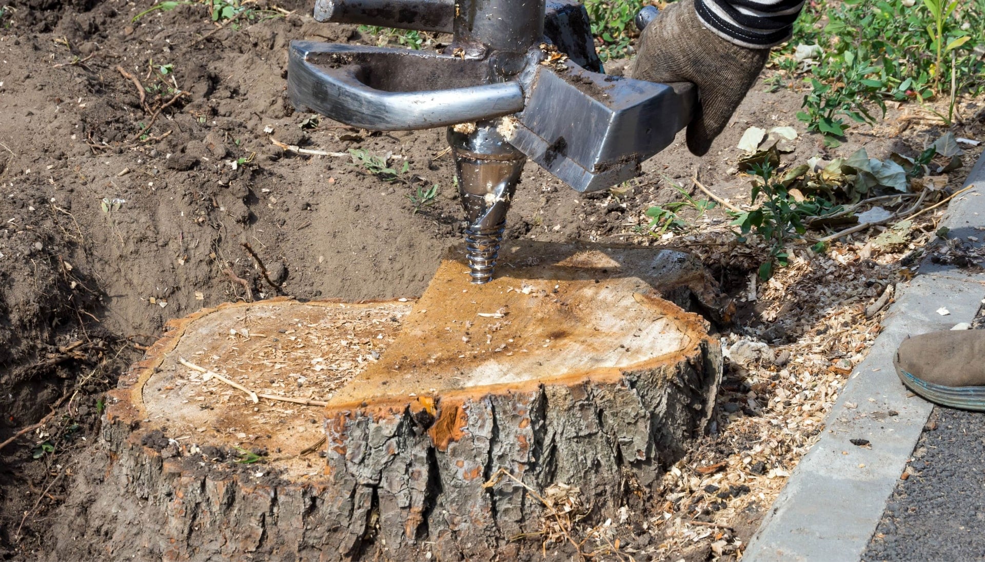Dallas Tree stump removal